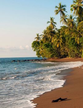 VOLONTARIATO IN COSTA RICA