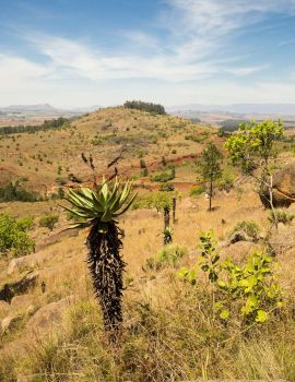 VOLONTARIATO IN SWAZILAND
