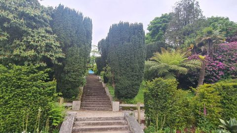 Primavera Viaggi