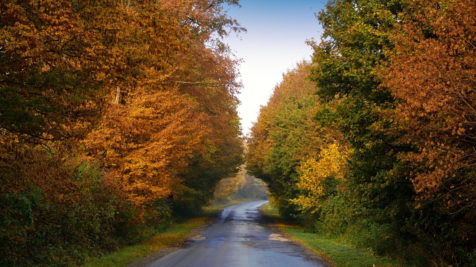 Le migliori tradizioni di Halloween nel mondo