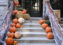 zucca_halloween_stati_uniti