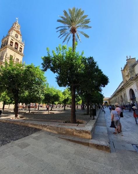 CORDOBA
