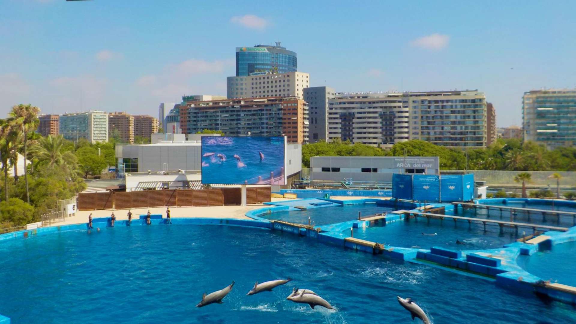 VACANZA STUDIO INDIVIDUALE A VALENCIA