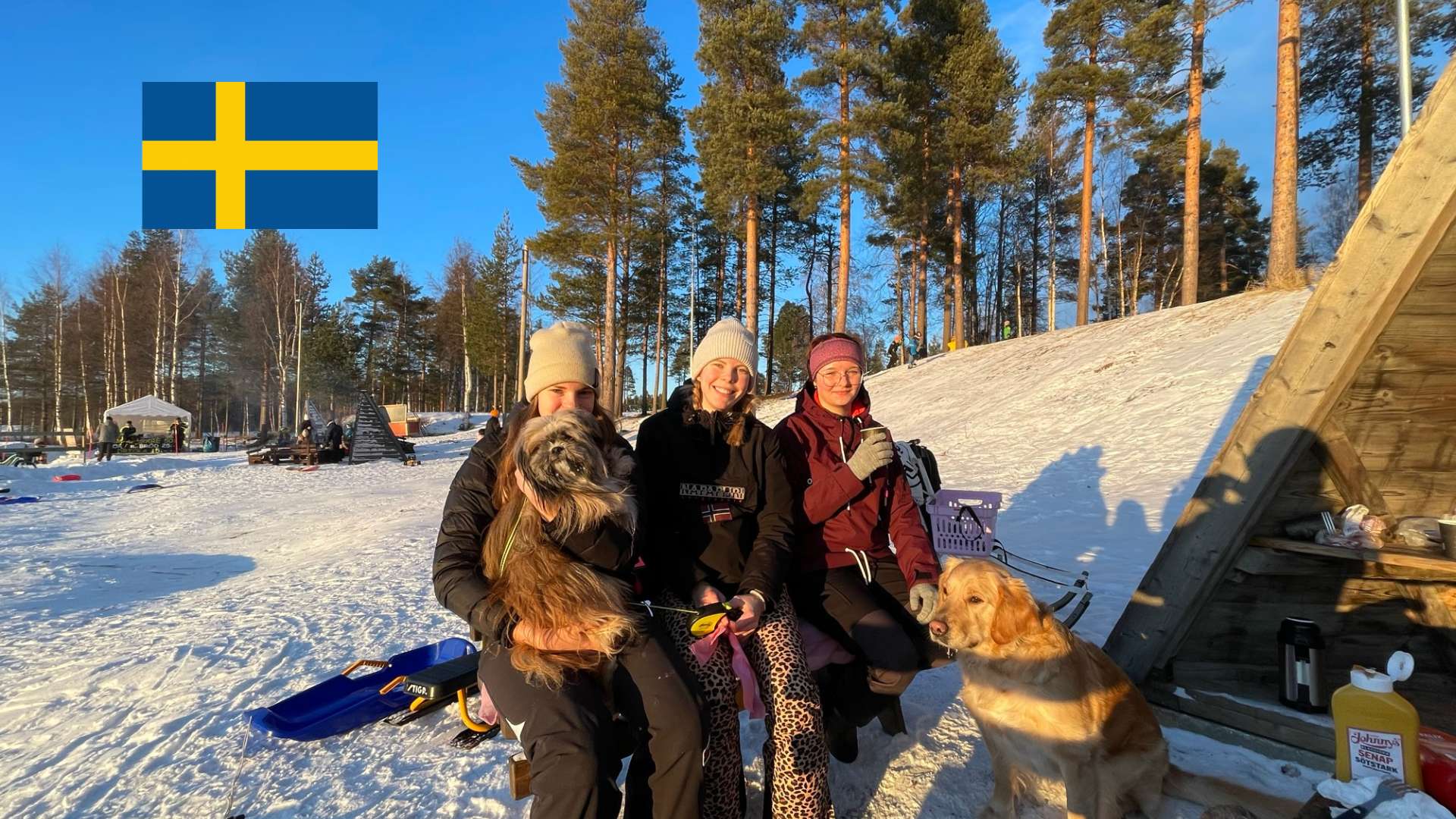 EXCHANGE STUDENT IN SVEZIA