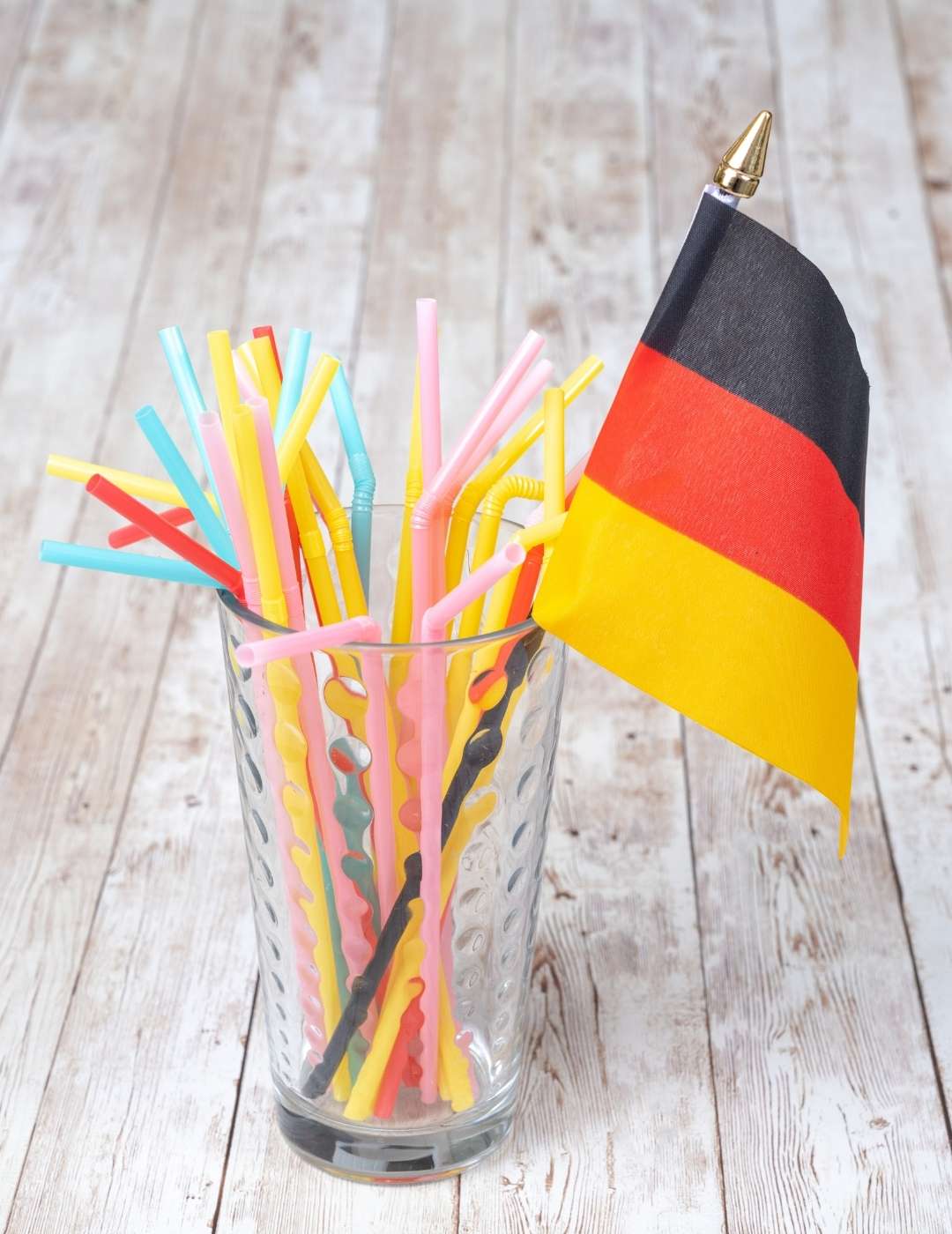 EXCHANGE PROGRAMME IN GERMANIA