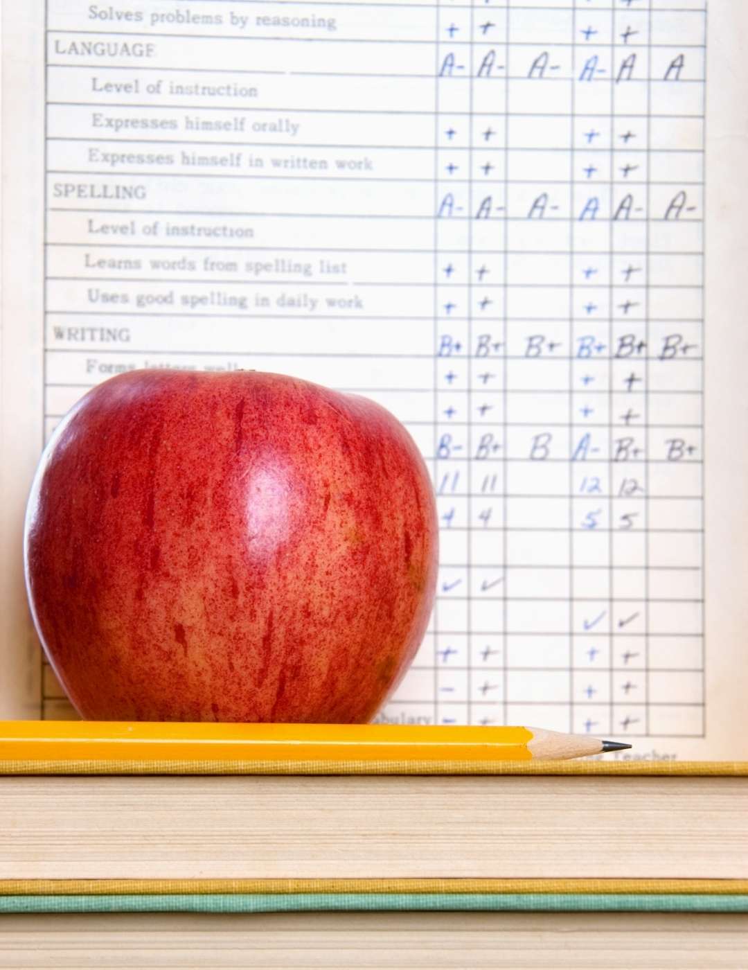 ANNO ALL'ESTERO: L'ARRIVO