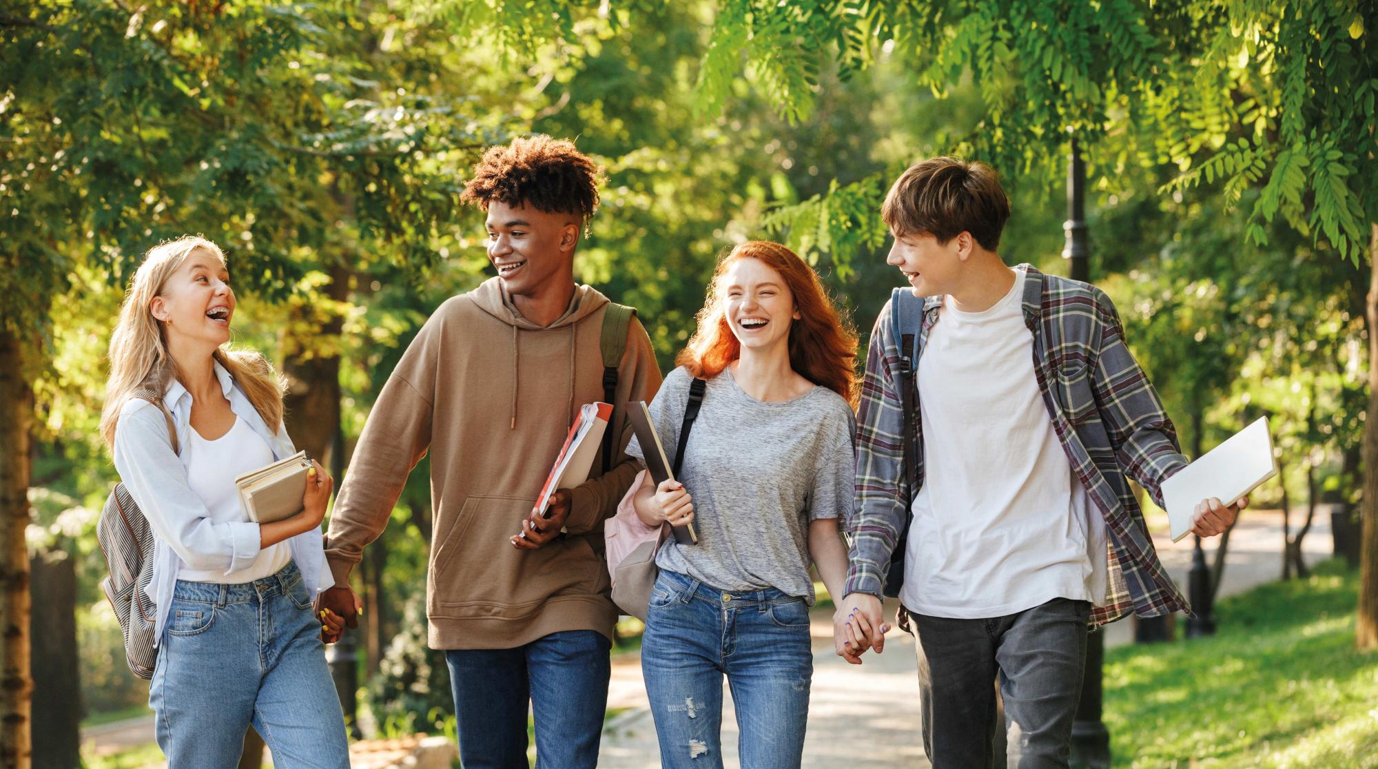 IRLANDA EXCHANGE PROGRAMME