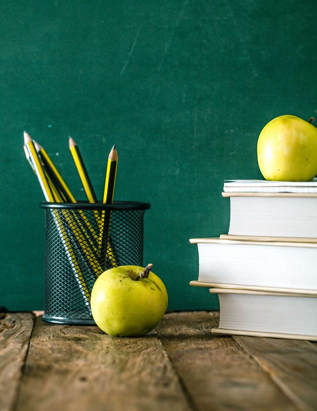 ITACA EXCHANGE PROGRAM IN USA